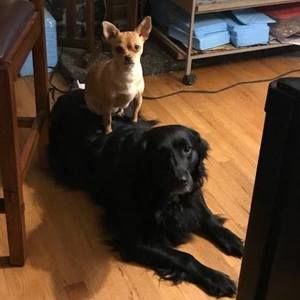 Meet your Posher, Lavonn